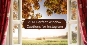 214+ Perfect Window Captions for Instagram