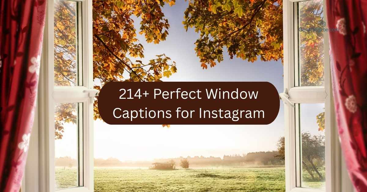 214+ Perfect Window Captions for Instagram