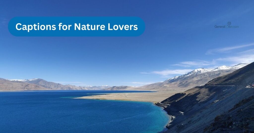Captions for Nature Lovers