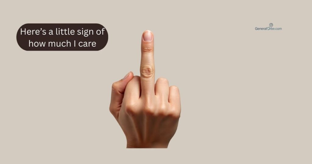 Middle Finger Quotes for Haters