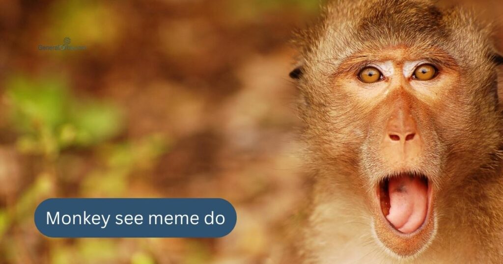 Monkey Memes and Humor Captions