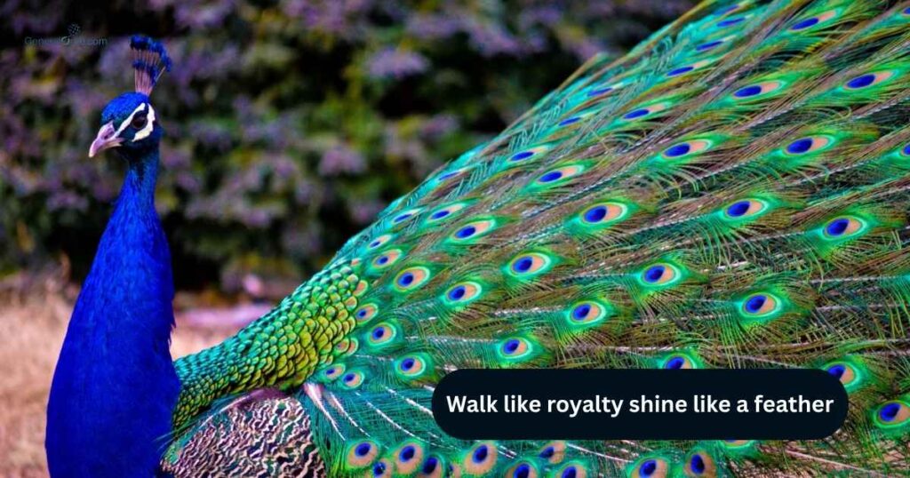 Peacock Quotes & Captions