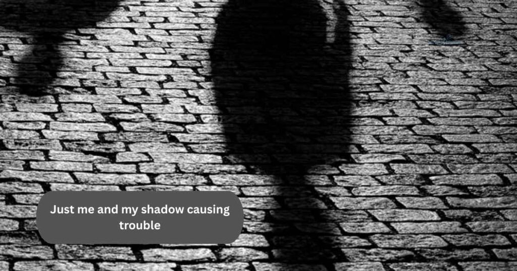 Playful and Fun Shadow Captions