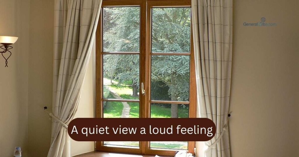 Window View and Scenic Moments