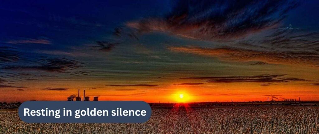 Captions for Relaxing Sunset Moments
