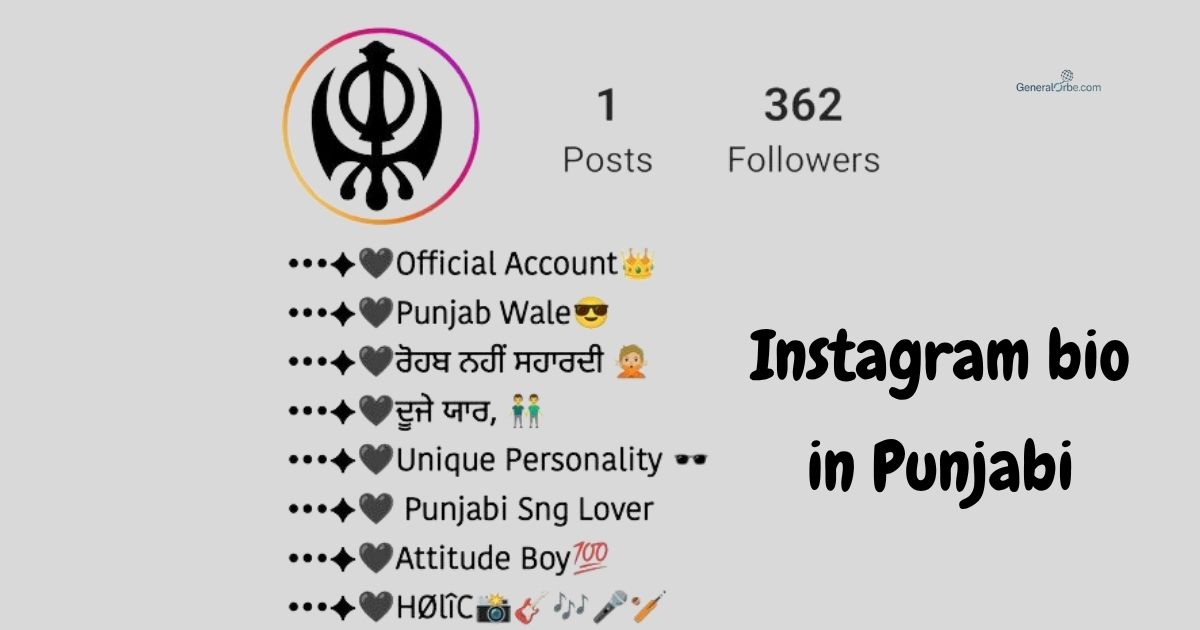 Instagram bio in Punjabi