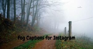 fog captions for instagram